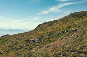 pâturage au mont Tendre, Jura Vaudois