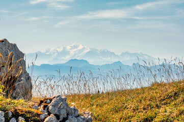 vue sur le Mont-Blanc depuis le Mont-Tendre, Jura - obrazy, fototapety, plakaty