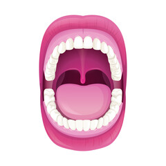 Free vector dental and teeth elements in vector illustration