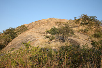Afrikanischer Busch - Krügerpark - Mount Shabeni / African Bush - Kruger Park - Mount Shabeni /