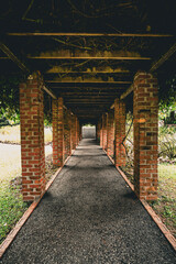 Discover a serene garden adorned with pillar-lined walkways, where beauty and tranquility intertwine.