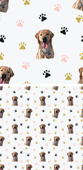 Golden retriever dog smiling face. Golden Retriever Peeking dog.  Seamless pattern with dogs and paws, holiday texture. Square format. Loving character, greeting card, holiday wallpaper, clipart set.