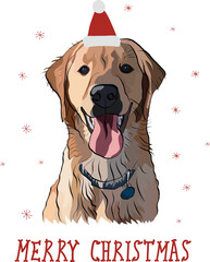 Golden retriever dog smiling face cute Christmas greeting card. Golden Retriever Peeking dog in a hat. Happy Labrador Face, Pet detailed artwork, Lab icon. Abstract line art, winter New Year present.