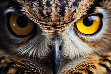 Foto op Canvas Close up shot of owl © Miftakhul Khoiri