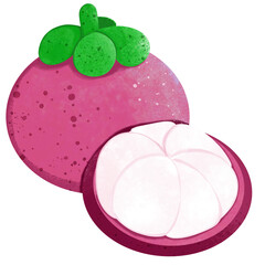 Fruit ,mangosteen 