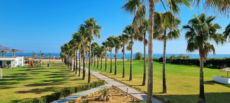 beautiful sunny morning with view over palm alley, garden, beach and sea at delfina beach hotel in kavros, crete, greece in summer
