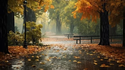 Poster landscape autumn rain drops splashes in the forest background, october weather landscape beautiful park. © Ziyan Yang