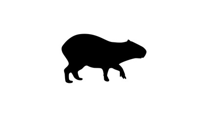Capybara Silhouette