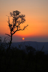 Sonnenuntergang - Krüger Park - Südafrika / Sundown - Kruger Park - South Africa /