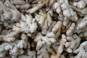 Ginger Roots for Sale