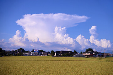宇都宮市　かなとこ雲