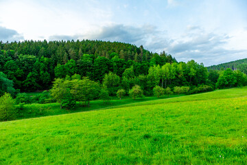 Sommerliche Entdeckungstour durch den Thüringer Wald bei Steinbach-Hallenberg - Thüringen