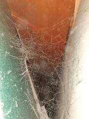 Spinnennetze in Zwischenraum - obrazy, fototapety, plakaty