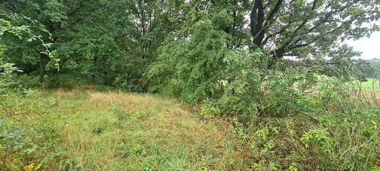 Obraz premium Garten - Gartenparzelle im Hohen Fläming