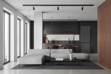 White and gray living room and kitchen interior