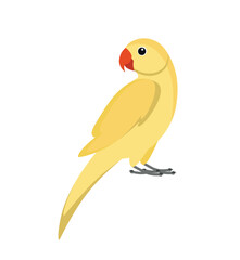 Yellow indian parrot	
