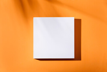 Empty square podium with tropical palm tree shadow background. Orange thanksgiving minimal flat lay frame poster. Abstract trendy geometric mockup blank layout.