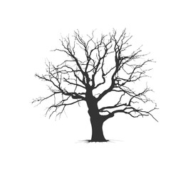 Silhouette Bonsai tree branches structure shaping. Vector illustration design.