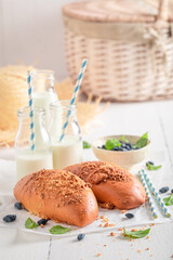 Delicious Jagodzianka cake made of berry fruits.