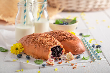 Tasty Jagodzianka cake served with milk in summer.