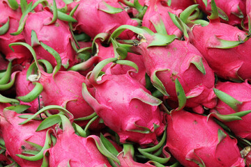 healthy eating exotic fruits red dragon fruit