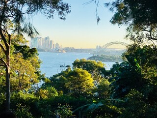 Fototapeta na wymiar Vue à travers la végétation dans la baie de sydney