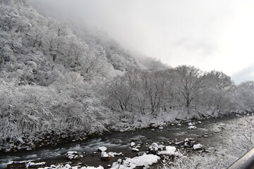 雪景色と川