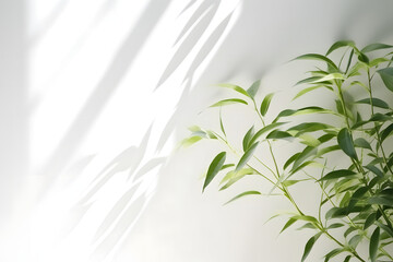 Shadow from leaves on a white wall. Background for product/decoration presentation, minimal abstract.
