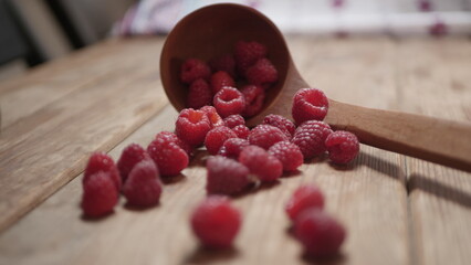 Fresh raspberry harvest from our own garden
