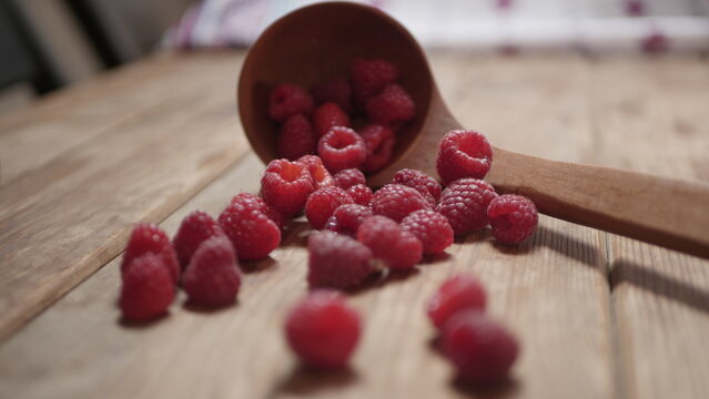 Fresh raspberry harvest from our own garden
