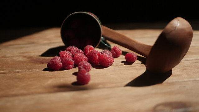 Fresh raspberry harvest from our own garden
