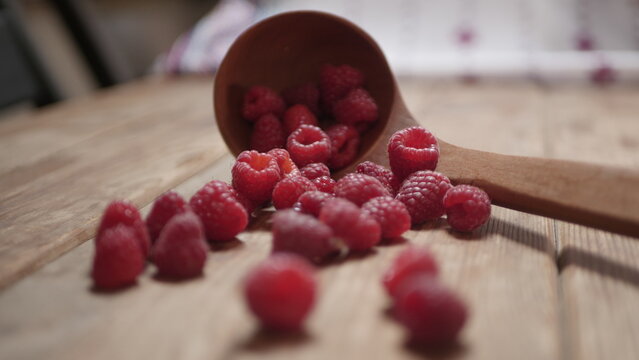 Fresh raspberry harvest from our own garden
