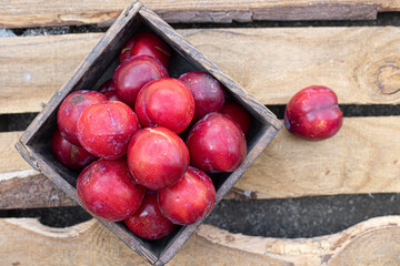 fresh red plum in the basket