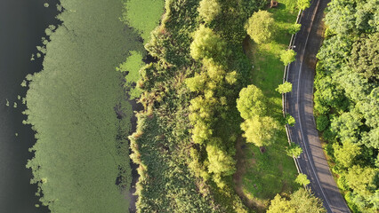 수원 광교호수공원 숲