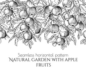 Seamless horizontal pattern apple orchard in engraving style