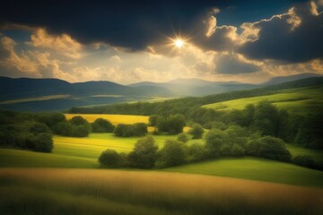Naklejka premium landscape with field and blue sky