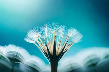 Fotobehang close up of a dandelion © tippapatt