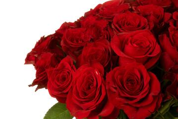 bouquet of red roses isolated on white background