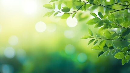 Obraz premium Spring or summer defocused background frame with lush foliage and bokeh in nature, Generative AI