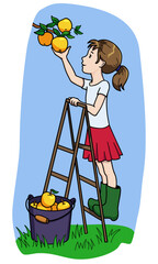 Hand drawn vector illustration. Girl picking apples