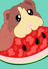 Ginea Pig Eating watermelon 