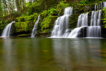 A small, cascading waterfall in a green forest
