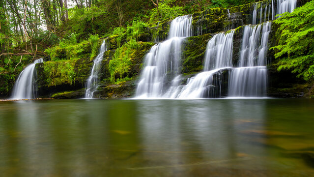 Cascading waterfall in a lush green forest (Sgwd y Pannwr, Wales) © whitcomberd