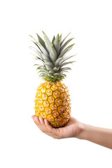 Hand hold fresh pineapple isolated on white background