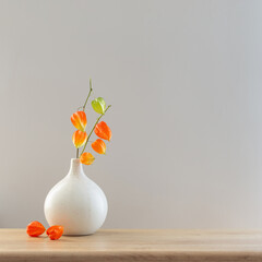 physalis in modern vase on wooden table