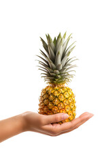 Hand hold fresh pineapple isolated on white background