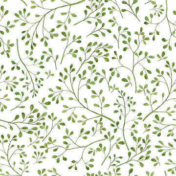Watercolor illustration of green little leaves on branches for beautiful design on white isolated white background. Watercolor pattern, seamless of vintage textil things. Aquarell amazing wallpaper