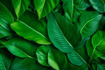 green leaves background Generated Ai