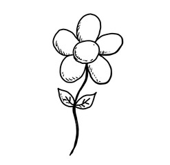 Sketch of flower isolated on white