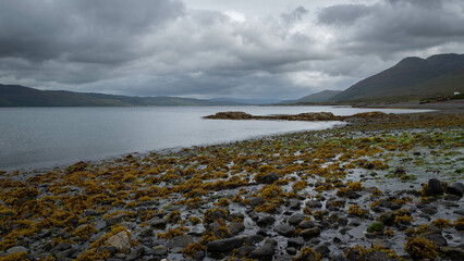 Moody Mull coastline